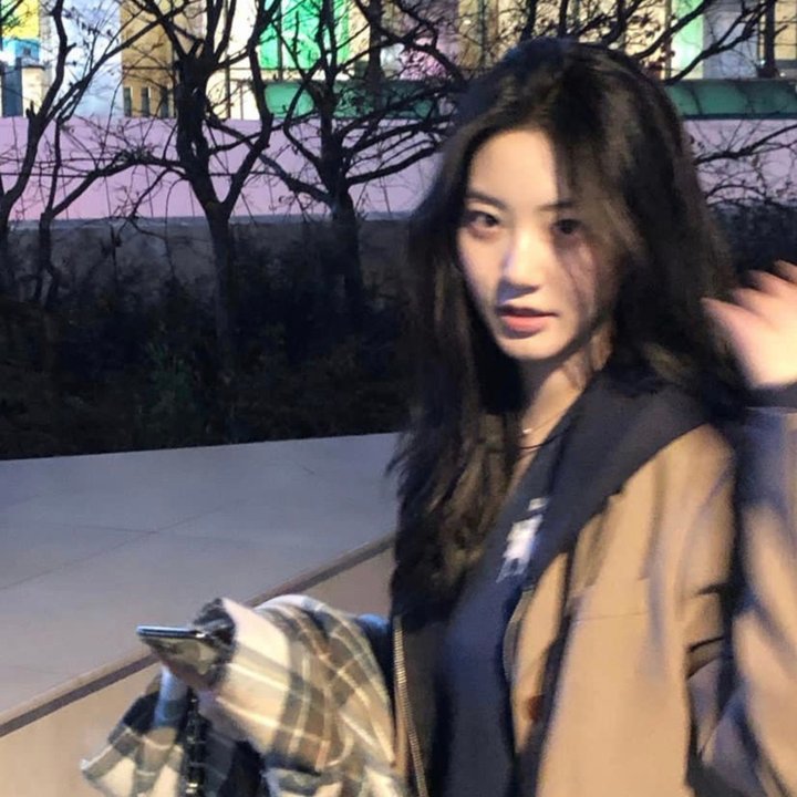 兄弟没狗不应该 封面